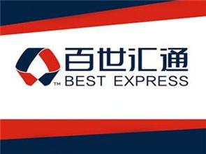 商務服務黃頁與城市聯(lián)盟 構(gòu)建現(xiàn)代商業(yè)生態(tài)的雙翼