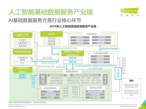 中國人工智能基礎數據服務與基礎軟件開發 雙輪驅動下的產業躍遷